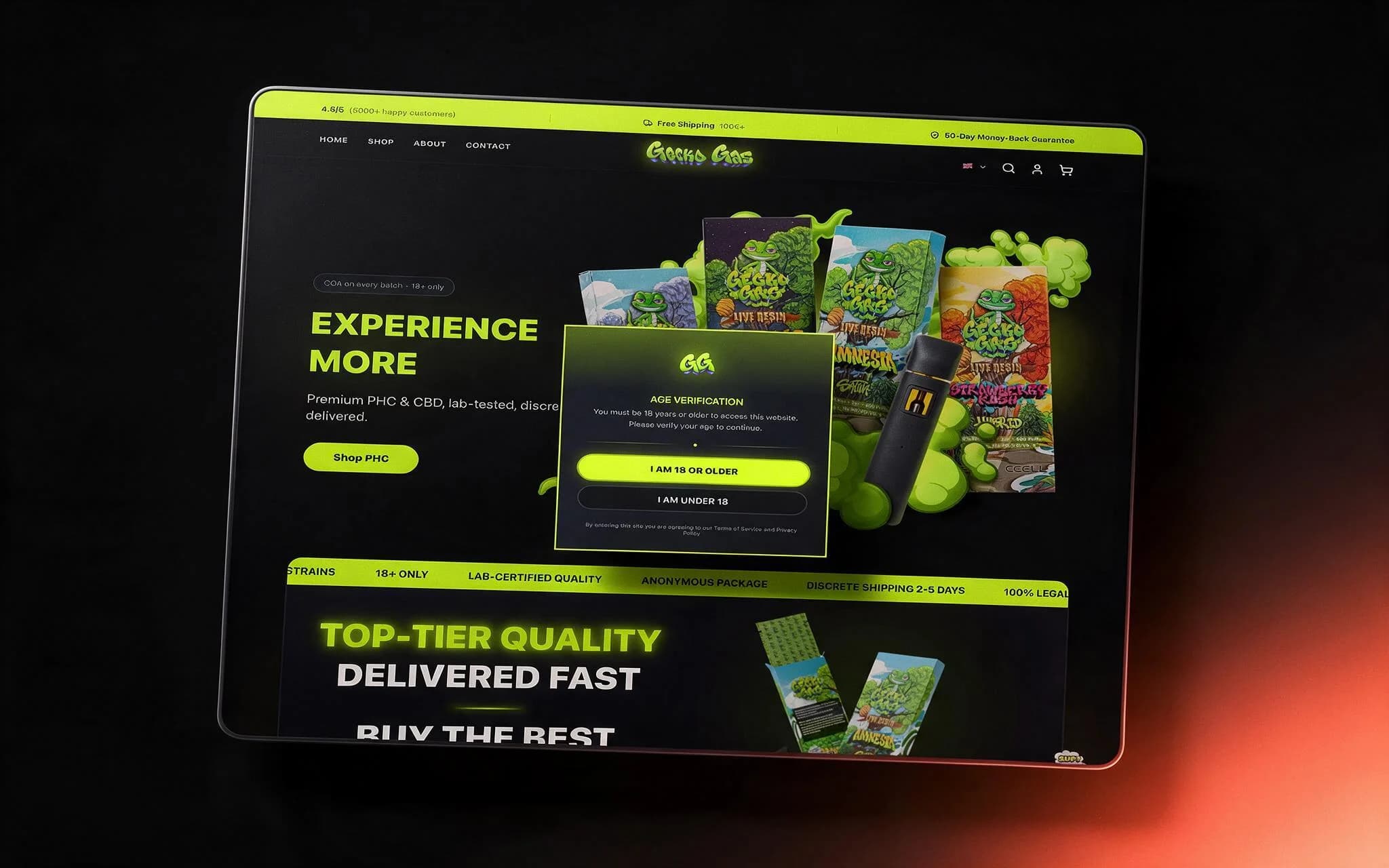GeckoGas age verification modal over the home page